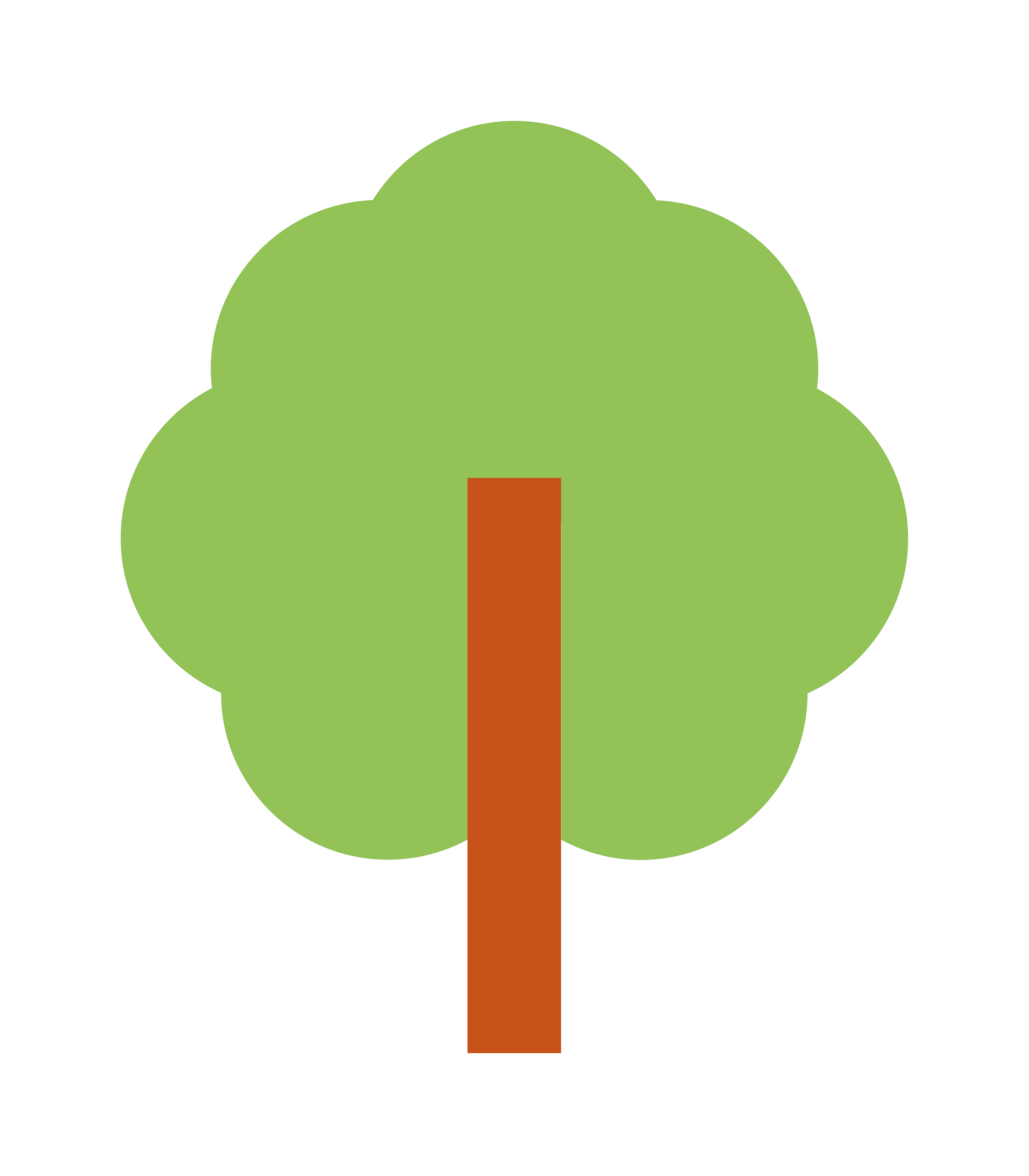 More Trees Planted